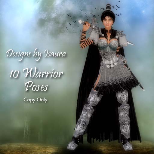 warrior-poses-box
