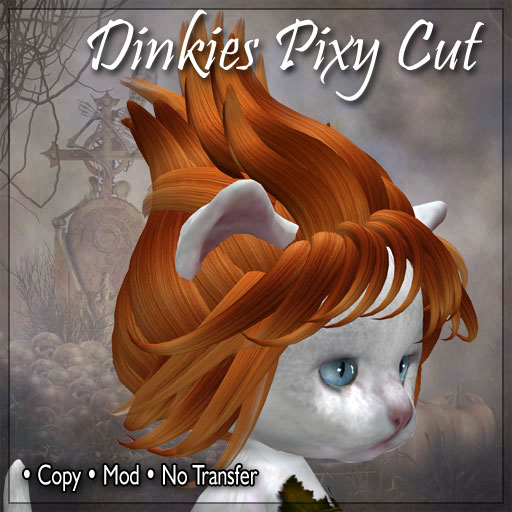 Pixy Cut Hair